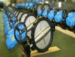 Butterfly Valve Manufacturers & Exporter