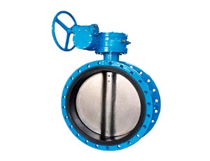 Butterfly Valves Manufacturers & Exporter